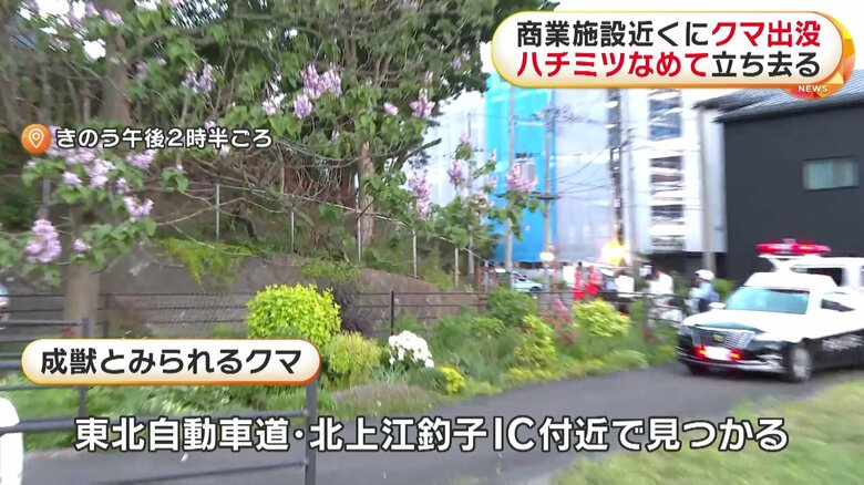 7時間にわたり住宅や商業施設近くにとどまった