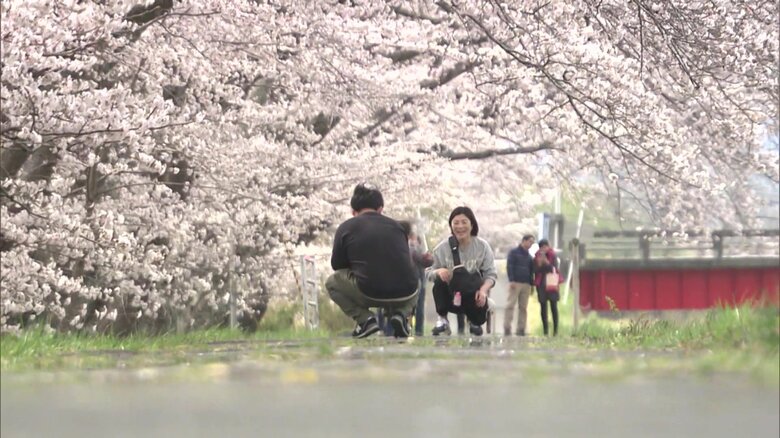 満開の景色を楽しむ家族