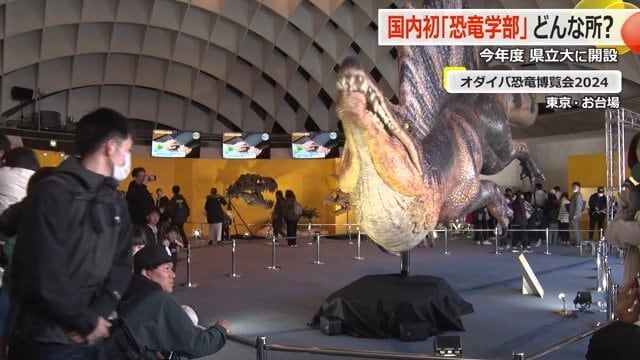 2024年にお台場で開催された恐竜博覧会