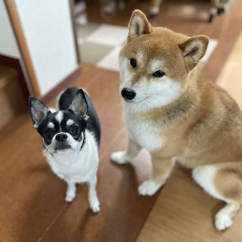 提供：うにさん