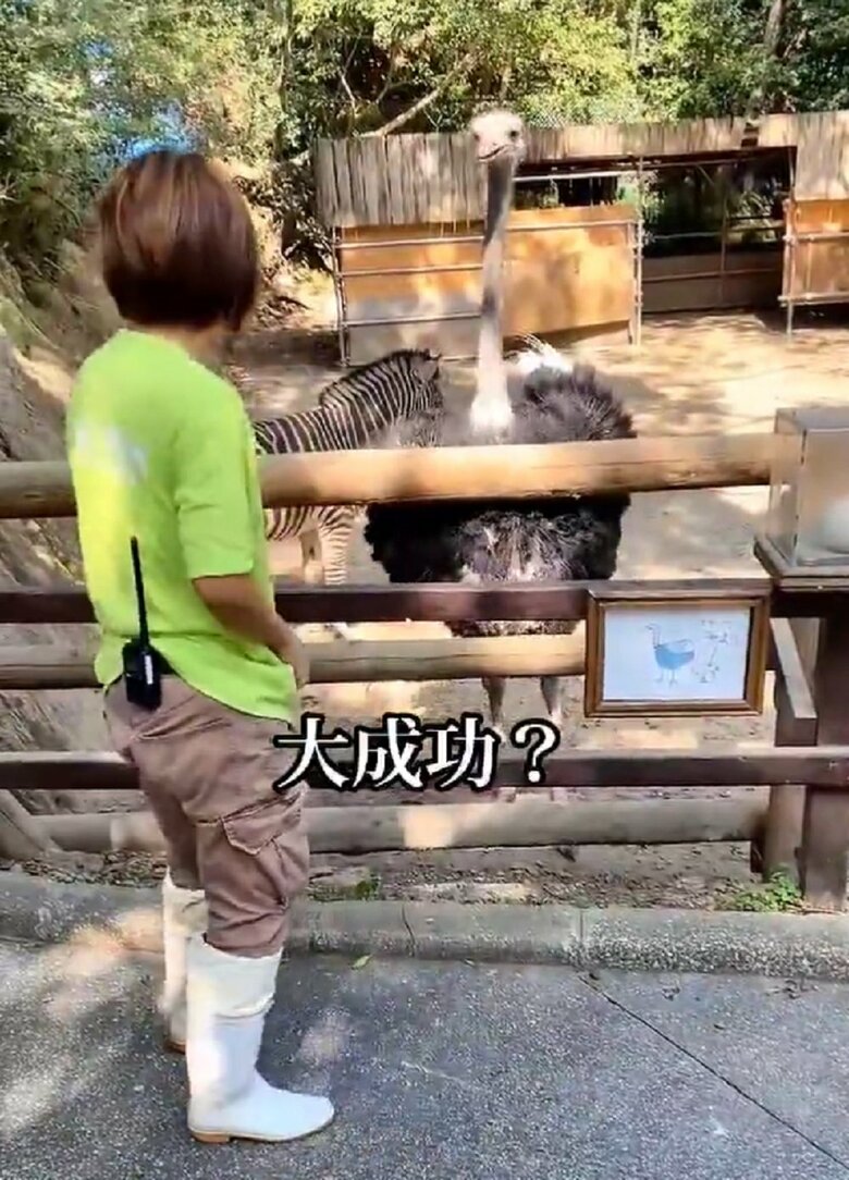 大成功？顔を見合わせる1人と1羽