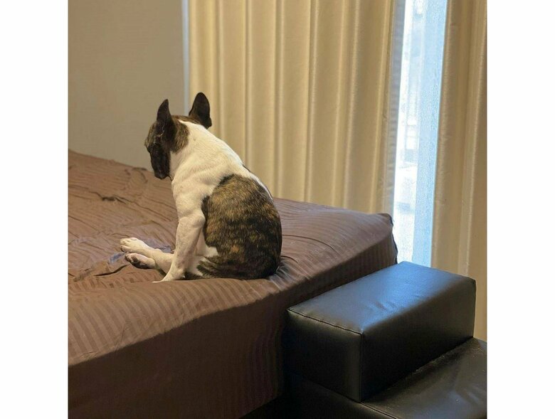 提供：丸男さん