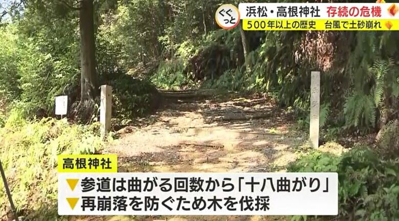 土砂崩れを免れた参道