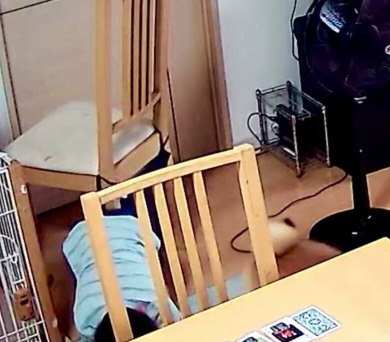 提供：柴犬勇者むぎさん