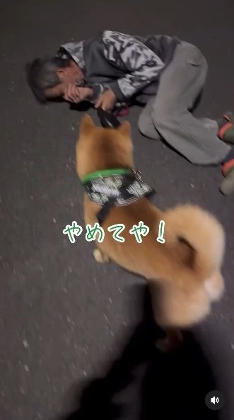 提供：カンさん