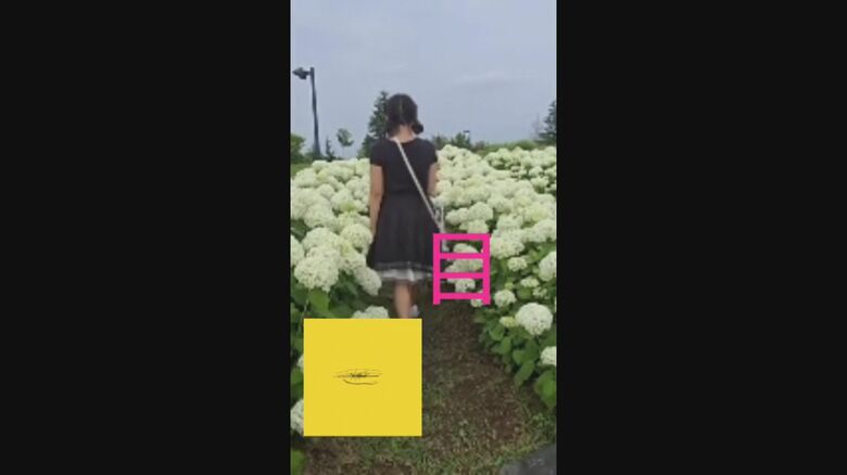 ヒナちゃんが制作した動画