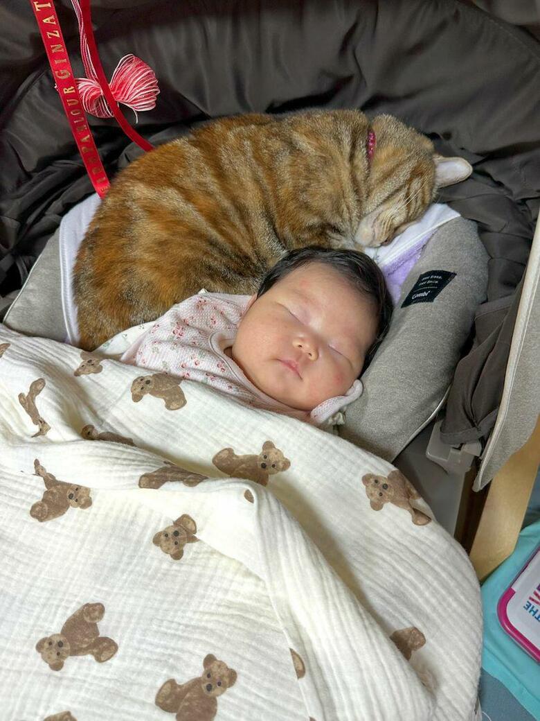 チャッピーちゃんとゆいちゃん（提供：エルモとみみりんさん）