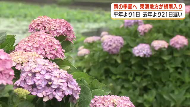 東海地方が梅雨入り　平年より1日遅く　梅雨明けは平年7月19日の見通し