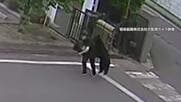 工場を次々と襲うクマ　敷地内に居座る　男性逃げ惑い引き倒される　専門家「人との接触でハイテンション状態に」福島