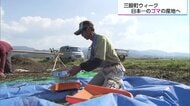 日本一のゴマの産地を目指して…“国内自給率0.1%”といわれているゴマの生産拡大に取り組む農家の挑戦【宮崎発】
