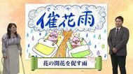 サクラを呼ぶ恵みの雨「催花雨」をご存じですか？古山予報士が教える宮崎の開花予想と、春を待つつぼみの現在地