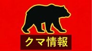 山口・山陽小野田市　国道2号近くでクマのような動物を目撃　警察署から約1.7キロ地点　体長約60センチ　警察が注意呼びかけ