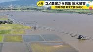 豪雨から5日、羽咋市邑知潟周辺で排水進まず　ブランド米4.5ヘクタールが水没