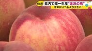 「ぜひ金沢のももを味わっていただければ」石川県内唯一の産地・崎浦地区で今シーズン最初の桃が出荷