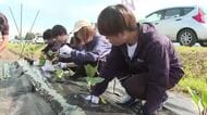 大学生が夏野菜の苗を定植　若い世代に農業を　岩手県紫波町