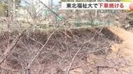 東北福祉大学の駐車場斜面の下草焼ける　近くで工事　 火が燃え移ったか〈仙台市〉
