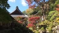 修禅寺庭園の特別公開　日本庭園ならではの晩秋の景色　普段は一般の立ち入りを制限