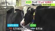 二酸化炭素の28倍の温室効果…“牛のげっぷ”から出るメタンガスの測定器が完成 牛に扮した愛知県知事が意義語る