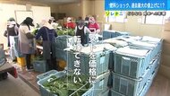 追いつめられる農業経営　「肥料ショック」に資材高騰…生産コスト増も野菜価格はそのまま【広島発】