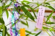 年に1度の七夕、みんなはどう過ごす？願いごとや予定を調査！【1000人アンケート】