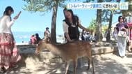 シルバーウィーク最終日　広島は大賑わい！宮島は人力車フル稼働　推しのライブ、レアな路面電車に感激！