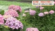 東海地方が梅雨入り　平年より1日遅く　梅雨明けは平年7月19日の見通し