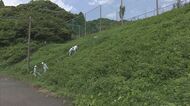 熱海・大規模土石流を受け 「盛り土」の緊急点検始まる 大分市
