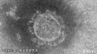 新型コロナ 大阪府と京都府で新たな感染確認1人ずつ