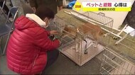 地域防災の日 ペットと一緒に避難するには ペットフードの備蓄も大切 静岡・三島市