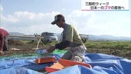 日本一のゴマの産地を目指して…“国内自給率0.1%”といわれているゴマの生産拡大に取り組む農家の挑戦【宮崎発】