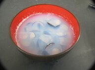 しじみ汁はなぜ白い？“白くにごる”理由を島根大学が解明…実は美味しさには関係なかった