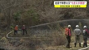 岩泉で林野火災”たき火が原因” 空気が乾燥 十分注意を<岩手・岩泉町>