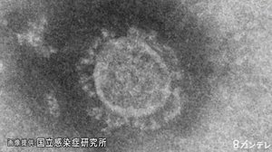 新型コロナ 大阪府と京都府で新たな感染確認1人ずつ