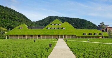 創業150年の和菓子舗たねやのあゆみ