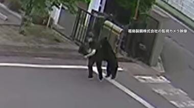 工場を次々と襲うクマ　敷地内に居座る　男性逃げ惑い引き倒される　専門家「人との接触…