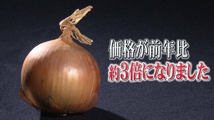 前年比約3倍…タマネギ高騰でピンチ！　他食材で材料費を調整、“脱タマネギ宣言”も続々