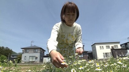 江戸時代から続くコメ農家の8代目が選んだ転機　米どころ秋田・大仙市でハーブ栽培に挑戦　子育てと仕事の両立に悩んだ女性が見つけた“癒やし”と新しい農業の形