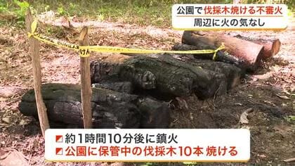 仙台市内の公園で不審火　保管の伐採木１０本焼ける　周辺に火の気なし＜宮城＞　