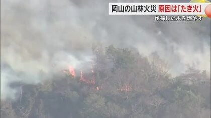 「たき火」に注意を…岡山市で２５年３月発生の大規模山林火災は「伐採した木を燃やした火」が原因【岡山】