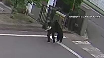 工場を次々と襲うクマ　敷地内に居座る　男性逃げ惑い引き倒される　専門家「人との接触でハイテンション状態に」福島