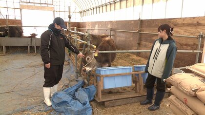 試練乗り越え“ぎゅー”っと愛情注ぐ　資源循環型で育てたオリジナルブランド牛『がたべこ』を発信【秋田発】