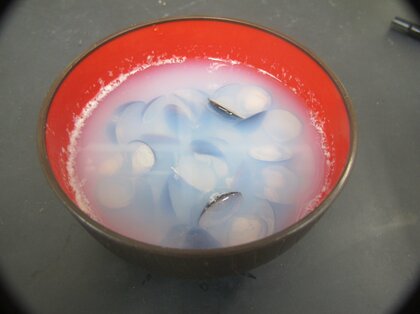 しじみ汁はなぜ白い？“白くにごる”理由を島根大学が解明…実は美味しさには関係なかった
