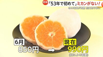 はっきり言うと緊急事態」ミカンの価格高騰 10月の平均価格は10年で