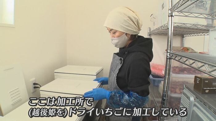 越後姫を加工する施設『Ichi-Rin苺稟』