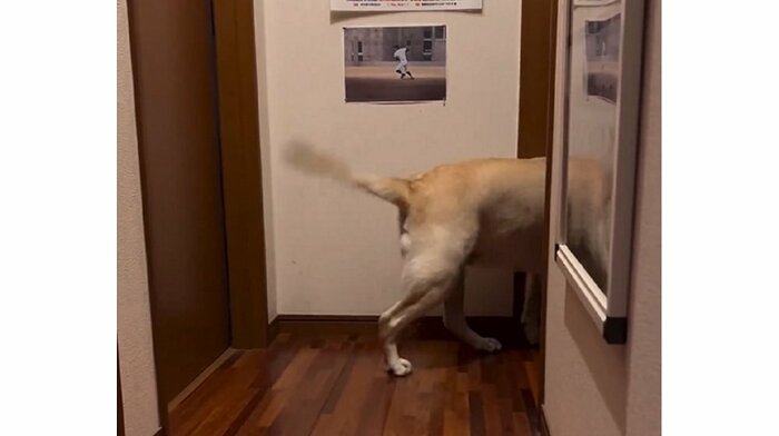 扉が開くと中にすぐさま入っていった