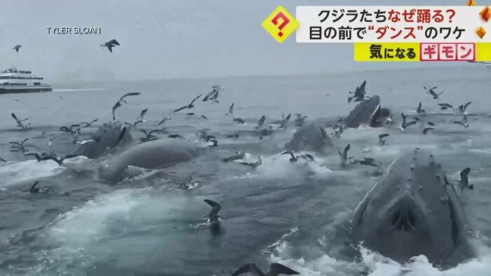 ゆっくりと外へ向かって泳いでいった