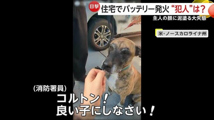 お𠮟りをうけていたコルトンくん(Chapel Hill Fire Department)
