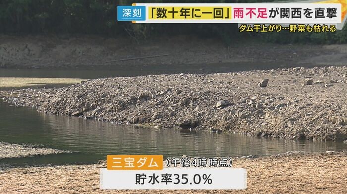 兵庫県丹波市の三宝ダムの貯水率は、35.0%