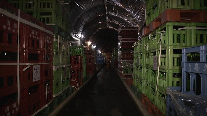 トンネル跡の貯蔵庫には約8000本の日本酒が保管されている