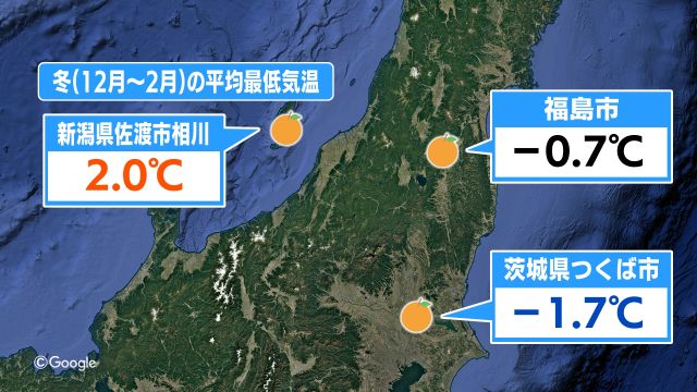 ミカン栽培をしている近県の気温を比較